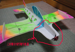 204tori700.jpg